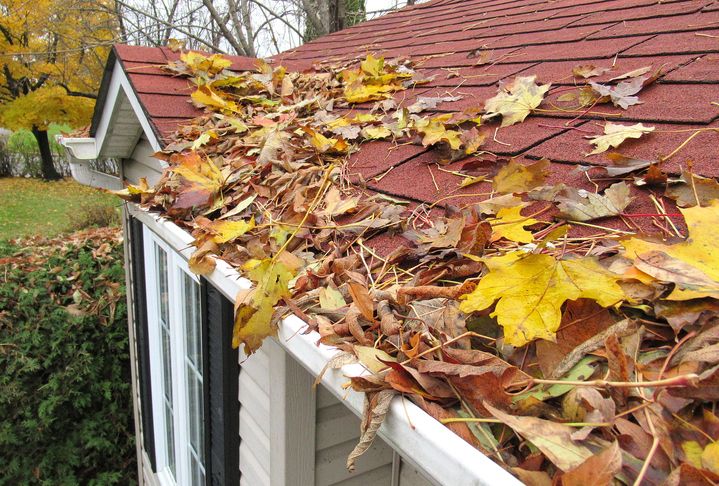 Entretien du toit cet automne.